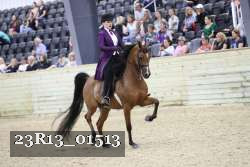23R13_01513 thumbnail