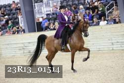 23R13_01514 thumbnail