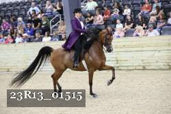 23R13_01515 thumbnail
