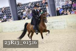 23R13_01516 thumbnail