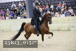 23R13_01517 thumbnail