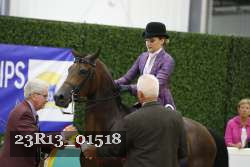 23R13_01518 thumbnail