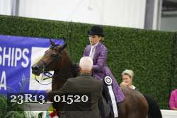 23R13_01520 thumbnail