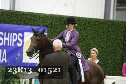 23R13_01521 thumbnail