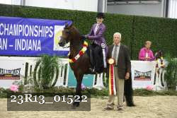 23R13_01522 thumbnail