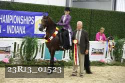 23R13_01523 thumbnail
