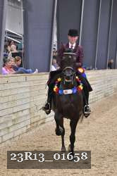 23R13_01658 thumbnail