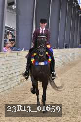 23R13_01659 thumbnail