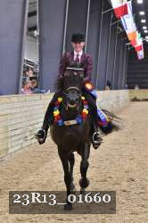 23R13_01660 thumbnail