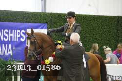23R13_01586 thumbnail