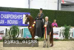 23R13_01588 thumbnail