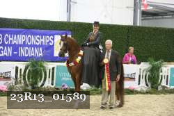 23R13_01589 thumbnail