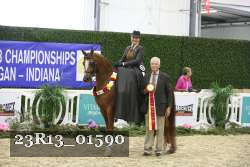 23R13_01590 thumbnail