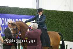 23R13_01591 thumbnail