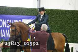 23R13_01592 thumbnail