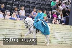 23R13_01599 thumbnail