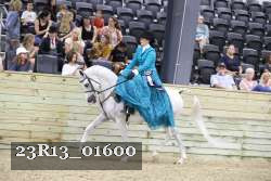 23R13_01600 thumbnail