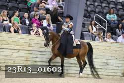 23R13_01602 thumbnail