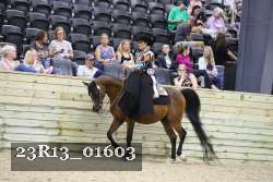 23R13_01603 thumbnail