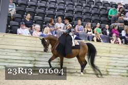 23R13_01604 thumbnail