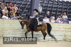 23R13_01606 thumbnail