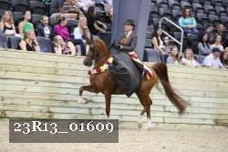 23R13_01609 thumbnail