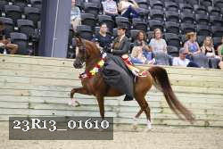 23R13_01610 thumbnail