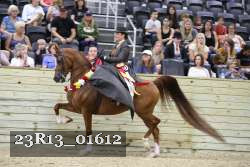 23R13_01612 thumbnail