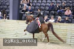 23R13_01614 thumbnail