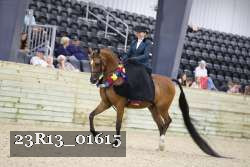 23R13_01615 thumbnail