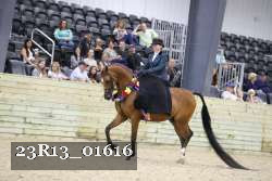 23R13_01616 thumbnail