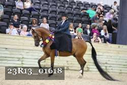 23R13_01618 thumbnail