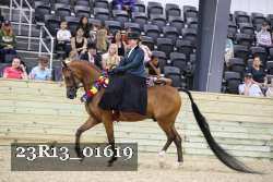 23R13_01619 thumbnail