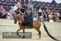 23R13_01620 thumbnail