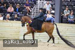 23R13_01621 thumbnail