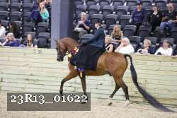 23R13_01622 thumbnail