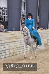 23R13_01661 thumbnail