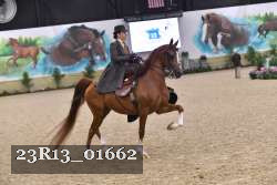 23R13_01662 thumbnail