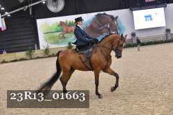 23R13_01663 thumbnail