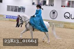 23R13_01664 thumbnail
