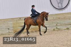 23R13_01665 thumbnail