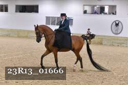23R13_01666 thumbnail