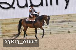 23R13_01667 thumbnail
