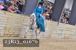23R13_01670 thumbnail