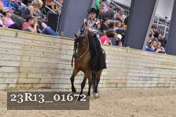 23R13_01672 thumbnail