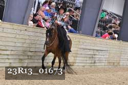 23R13_01673 thumbnail