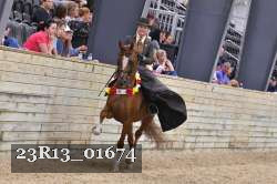23R13_01674 thumbnail
