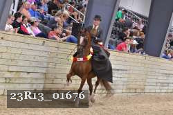 23R13_01676 thumbnail