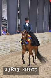 23R13_01677 thumbnail