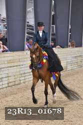 23R13_01678 thumbnail